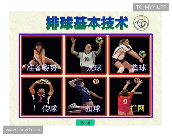 从零起步掌握排球技巧与战术全面指南助你成为排球高手