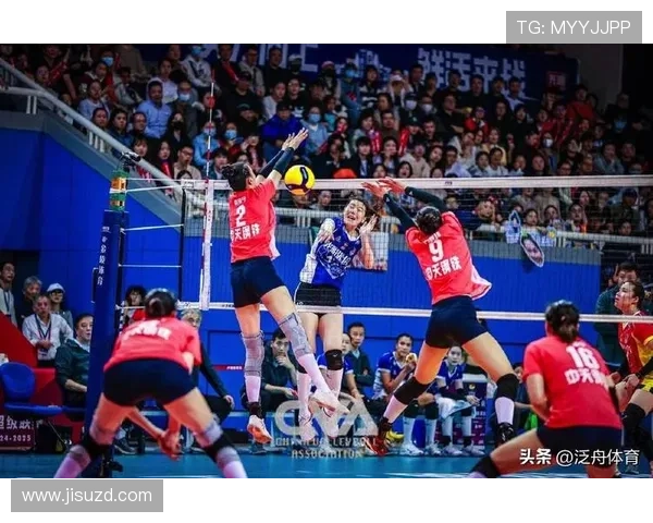 全国锦标赛特别报道：上海排球队如何逆袭夺冠的精彩历程与背后故事