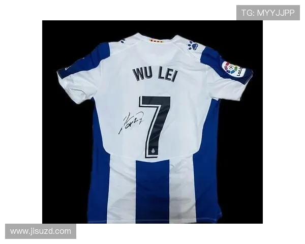 全球25号球衣足球明星排行榜及其辉煌成就分析